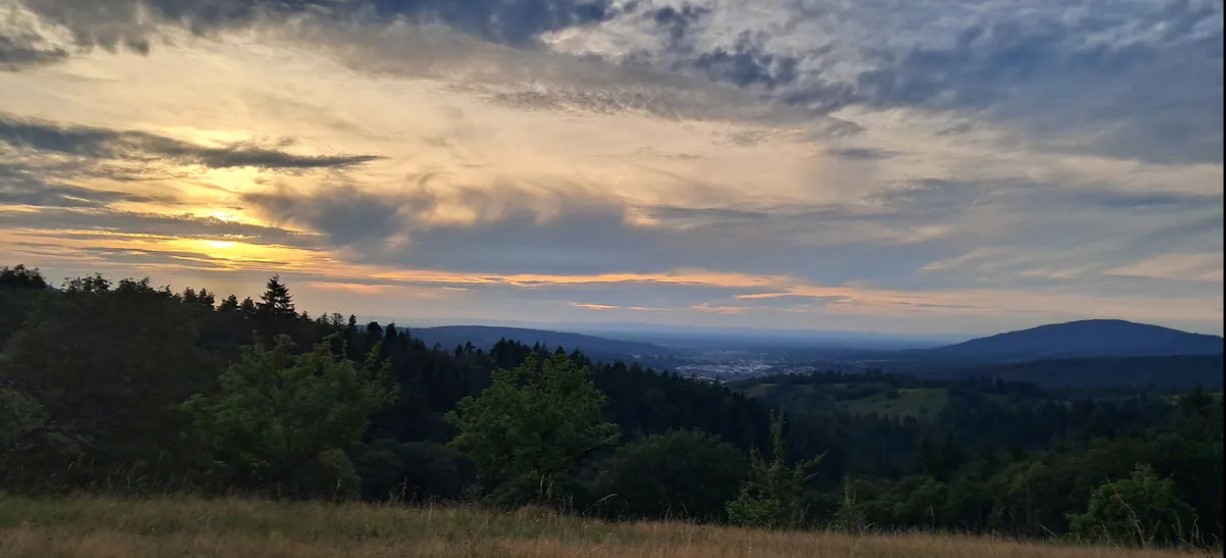 Aussicht ins Murg-Tal